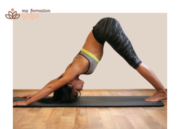 Posture du chien t�te en bas