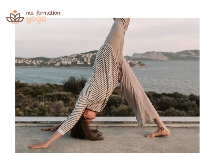 yoga vinyasa  c'est quoi 